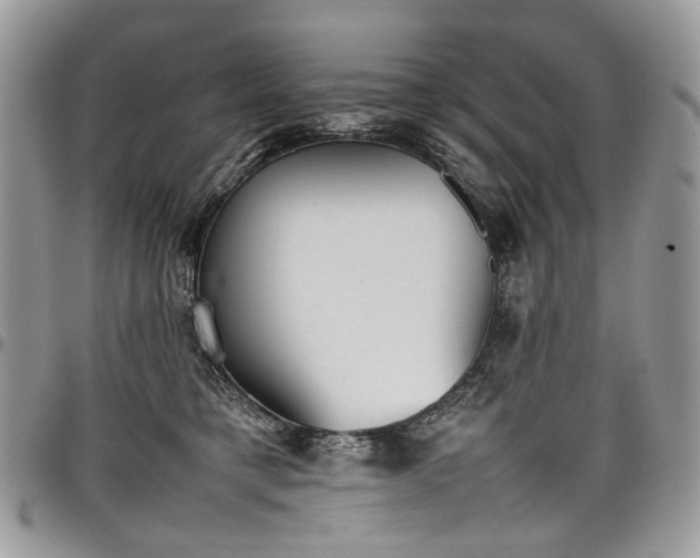 X0000098020421200803281338