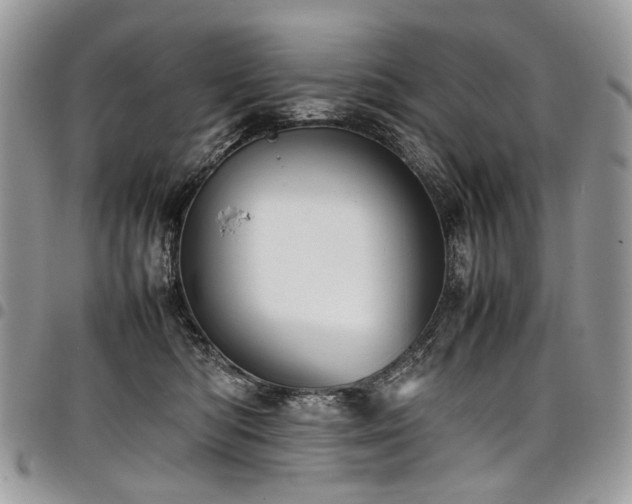 X0000098020422200803281338