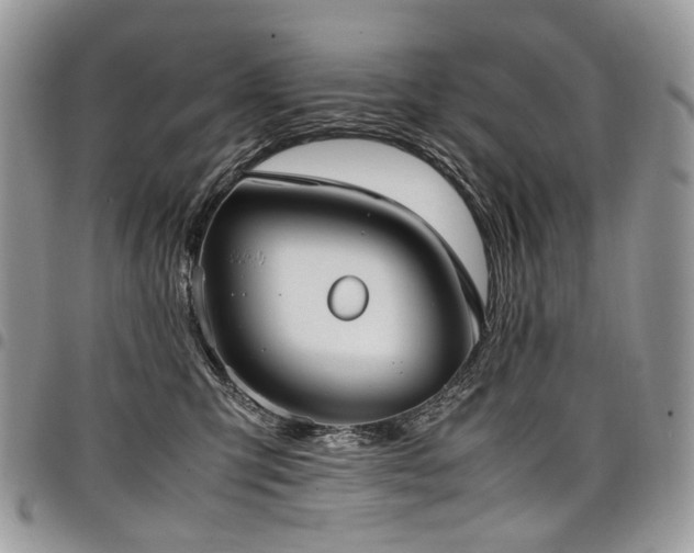 X0000098020423200803281338