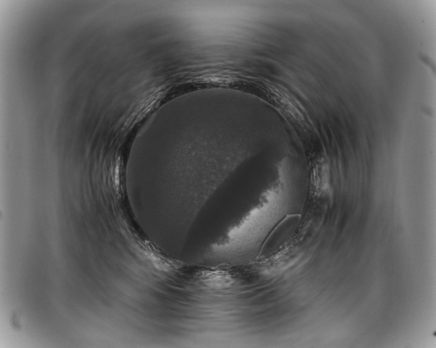 X0000098020424200803281338