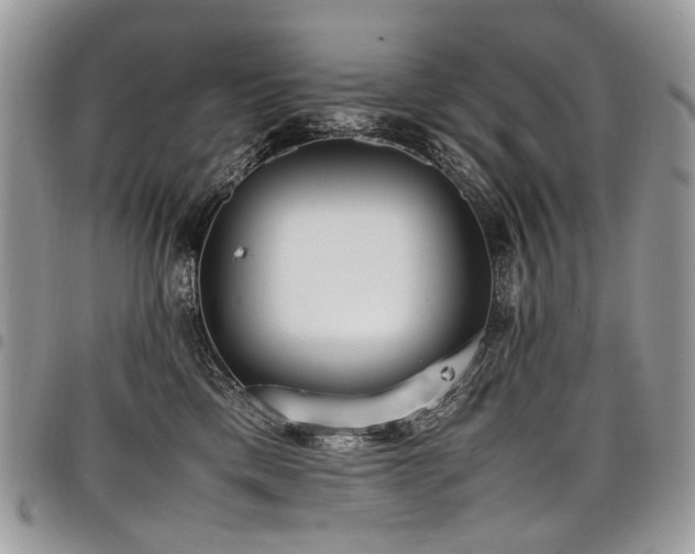 X0000098020425200803281338