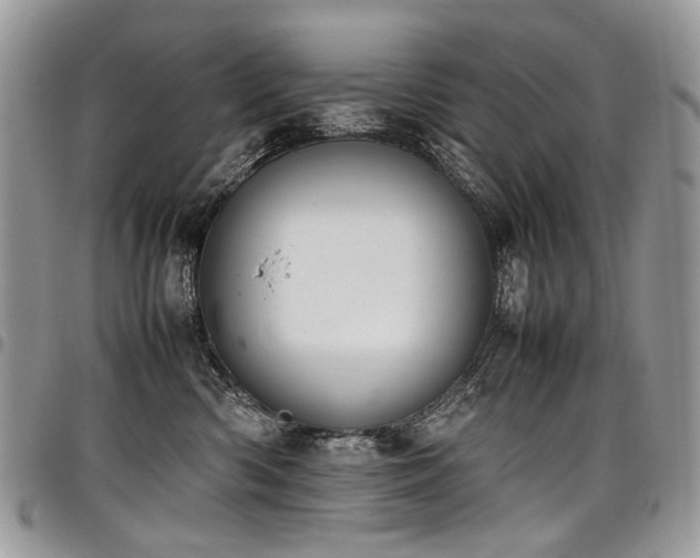 X0000098020426200803281338