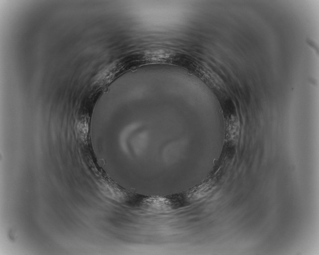 X0000098020427200803281338