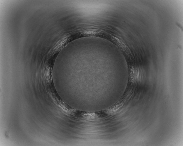 X0000098020428200803281338