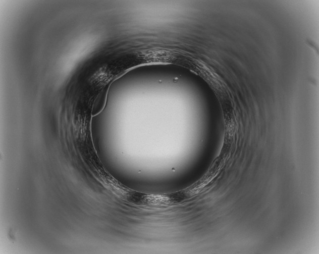 X0000098020429200803281338