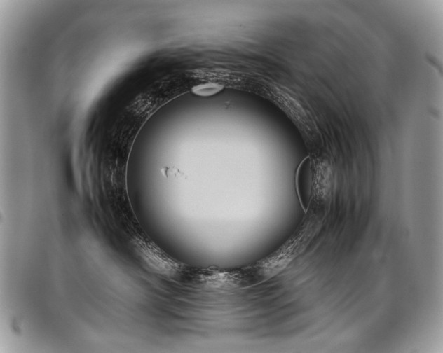 X0000098020430200803281338