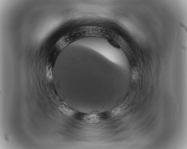 X0000098020431200803281338