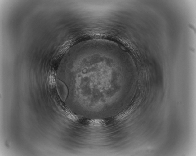 X0000098020432200803281338