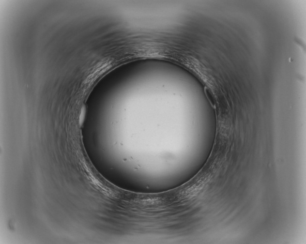 X0000098020433200803281337