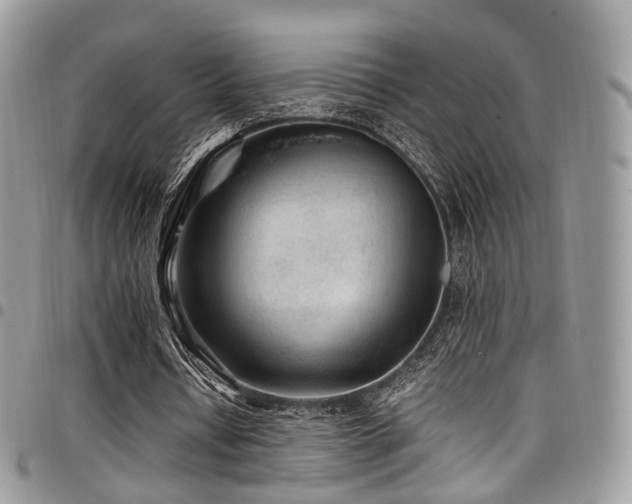 X0000098020434200803281337