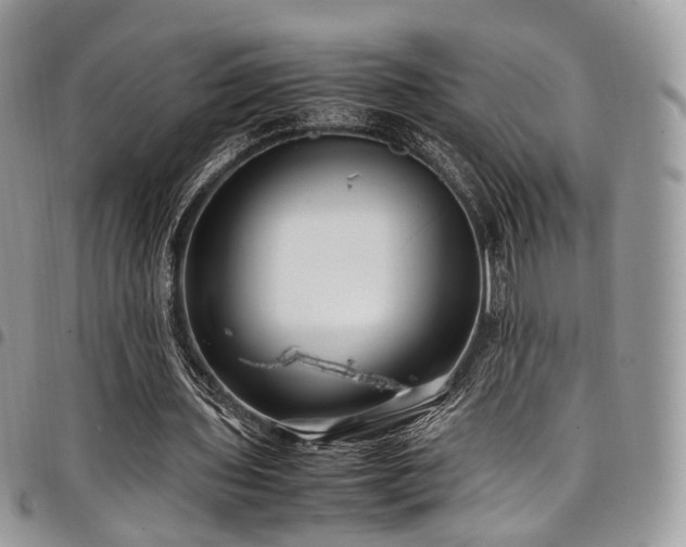 X0000098020435200803281337