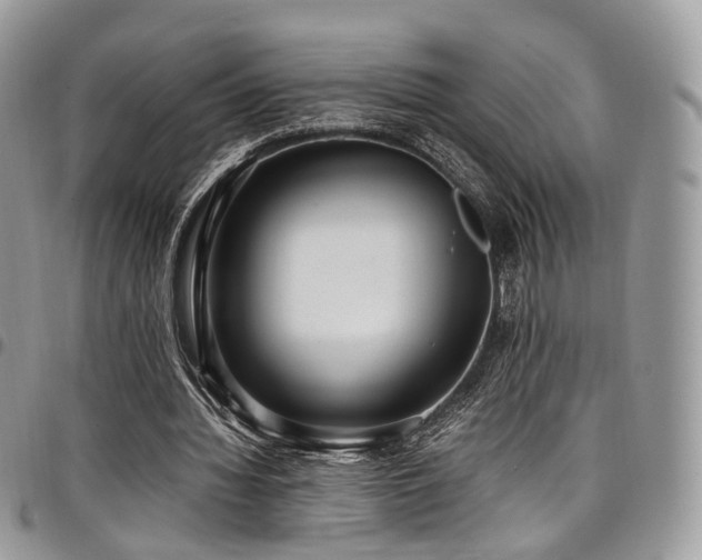 X0000098020436200803281337