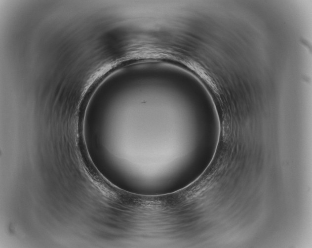 X0000098020438200803281337