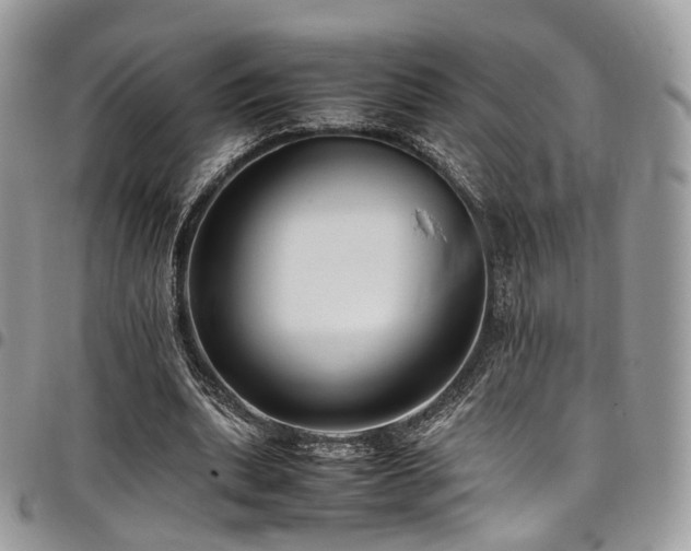 X0000098020439200803281337