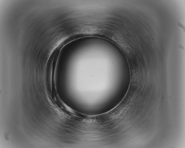 X0000098020440200803281338