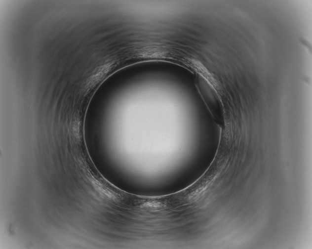 X0000098020441200803281338