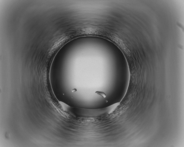 X0000098020442200803281338