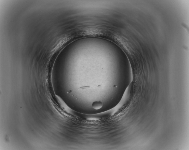 X0000098020443200803281338