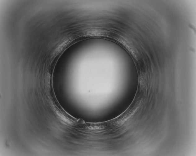 X0000098020445200803281338