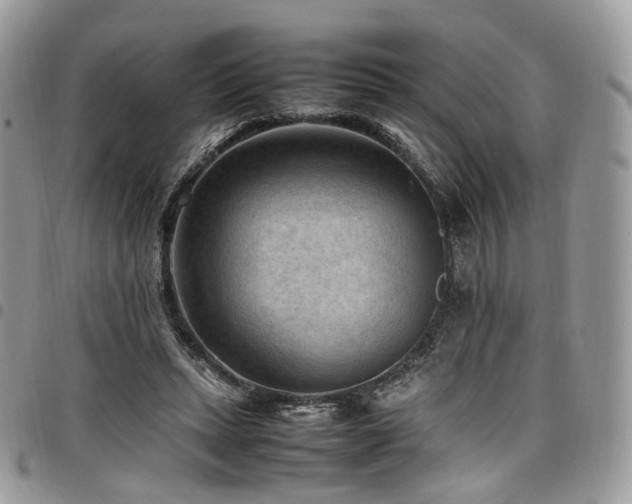 X0000098020447200803281338