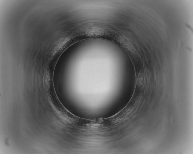 X0000098020448200803281338