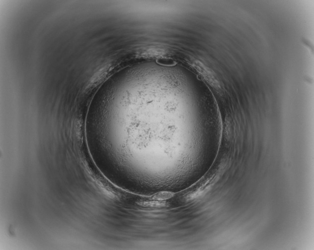 X0000098020449200803281338