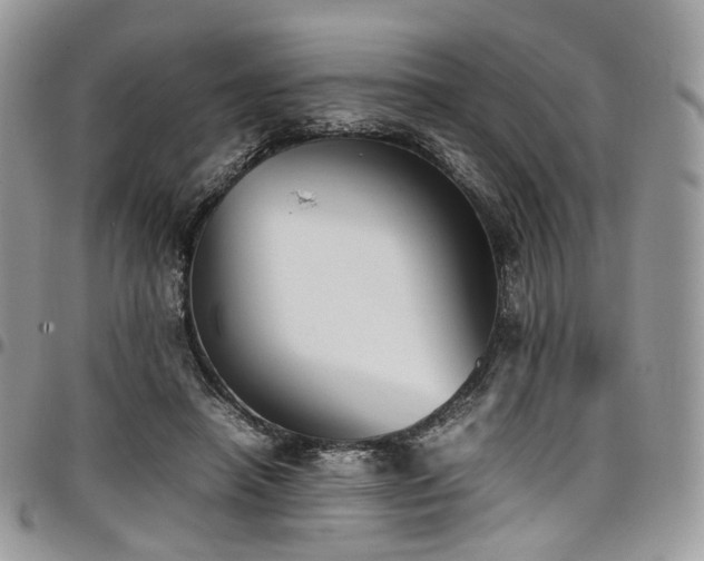 X0000098020450200803281338