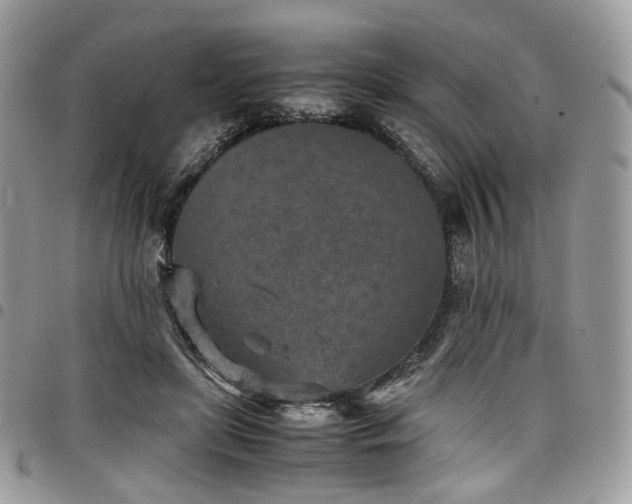 X0000098020451200803281338