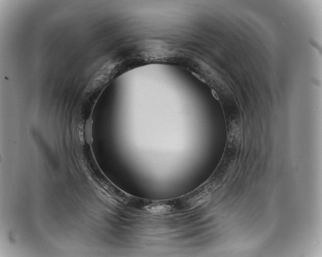 X0000098020452200803281338