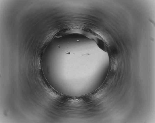 X0000098020453200803281338