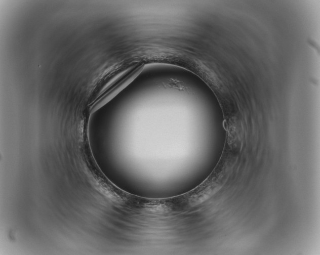 X0000098020454200803281338