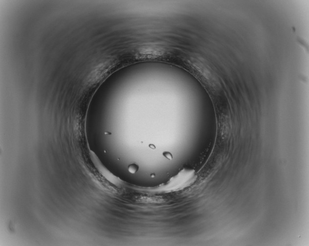 X0000098020455200803281338