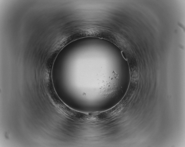 X0000098020456200803281338