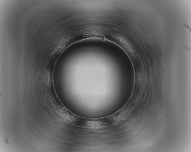 X0000098020457200803281338