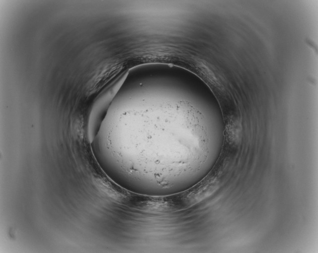 X0000098020458200803281338