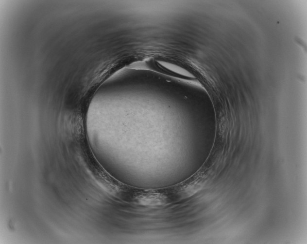 X0000098020459200803281338