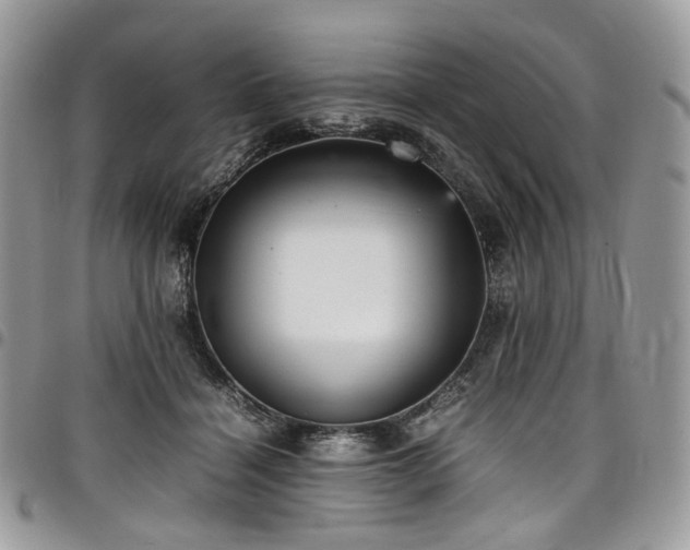 X0000098020460200803281338