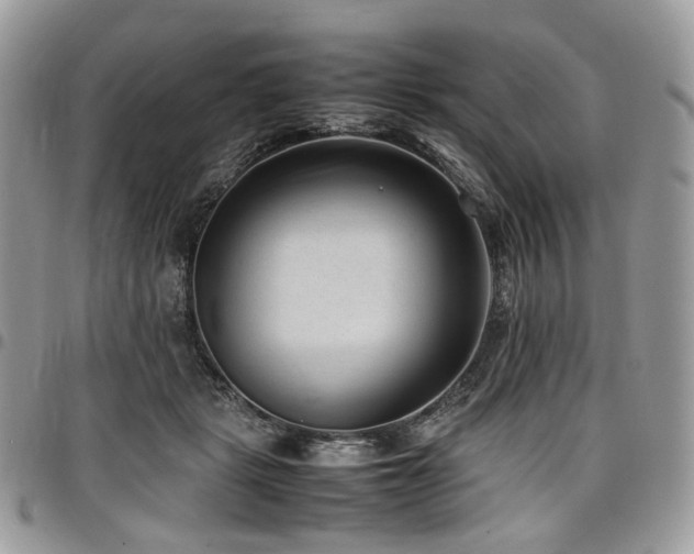 X0000098020461200803281338