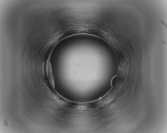 X0000098020462200803281338