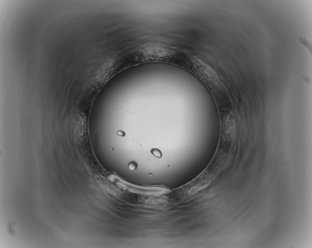 X0000098020463200803281338