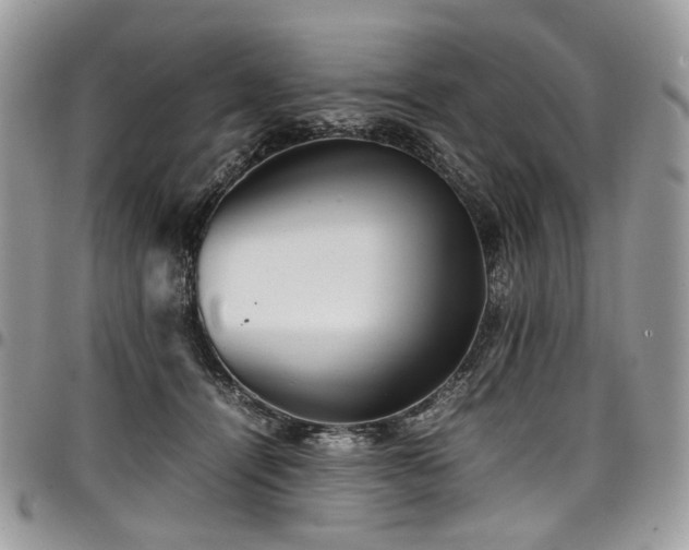 X0000098020464200803281338