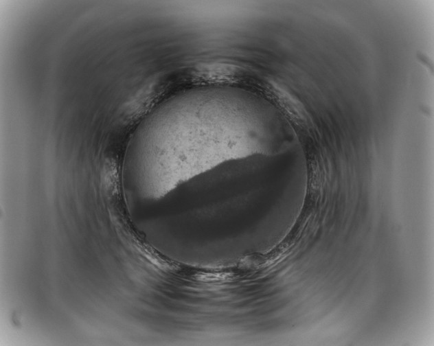 X0000098020465200803281338