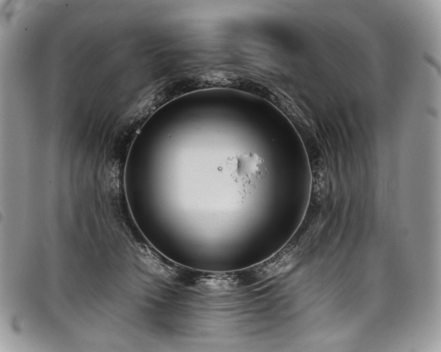 X0000098020466200803281338