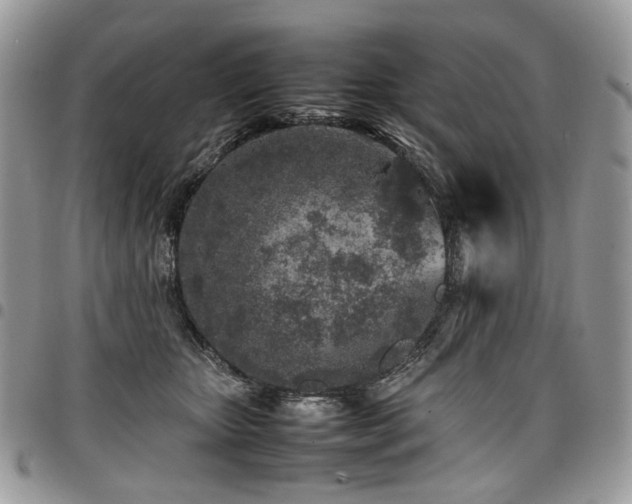 X0000098020467200803281338