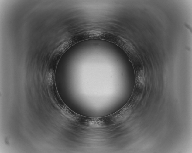 X0000098020468200803281338