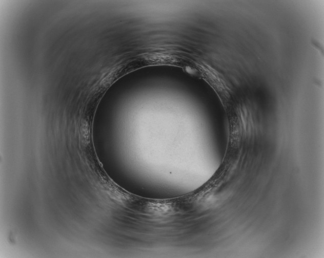 X0000098020469200803281338