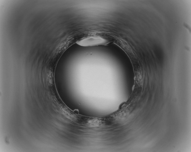 X0000098020470200803281338