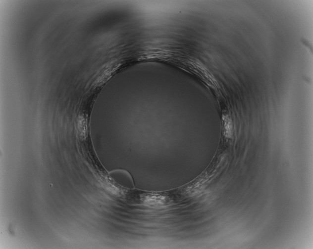 X0000098020471200803281338