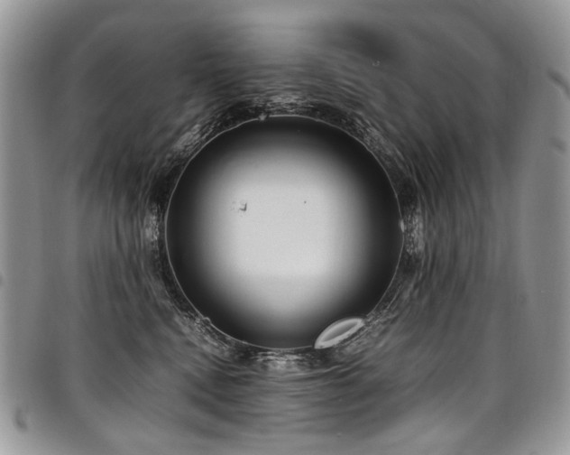 X0000098020472200803281338