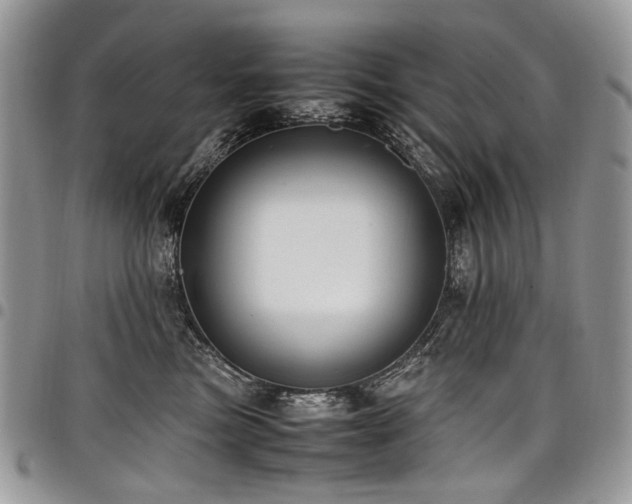 X0000098020473200803281338